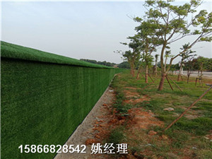 价格优惠:盘锦长垣工地围墙绿草皮