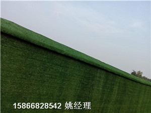 规格型号:黄冈装饰围墙人造草坪布