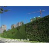 山东青岛市售楼处塑料草围挡墙-人造草坪哪里最便宜