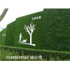 青岛地区绿植塑料草围挡墙-人工草皮可定制
