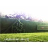 青岛地区护栏绿篱挡墙-人造草坪绿化环保
