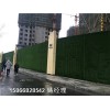 吉安人造草坪塑料绿植墙安装简单