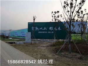 南开道路绿化提升草围墙草坪当地新闻