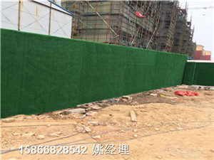 新闻:绿色墙绿篱@生产中-桃城