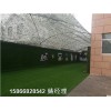 青岛地区市政塑料草皮挡墙-人造草坪厂商出售