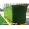 新闻:房地产工程墙面草皮@品牌厂家天津和平