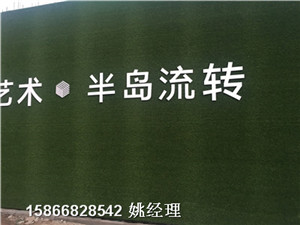 安庆人工草皮地铁绿植围挡型号博翔远人造草坪公司