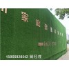 芜湖绿色生态围墙塑胶草皮人造草坪新款上市