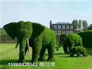 新闻：小草绿色地毯假草坪厂家价格-丽江