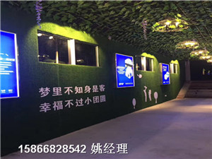 安庆人造草坪环保挡板绿植材质
