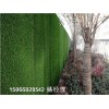 山东青岛市彩钢围挡围墙绿色-人造草坪哪里能买到