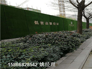 宁波人造草坪景观绿植墙实力厂家