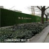 青岛假草坪围墙塑料草高品质报告