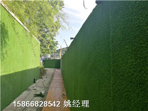 深圳建筑塑料草围挡墙人工草皮价格实惠