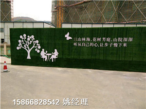 新闻:绿色塑料草坪@交易市场天津和平