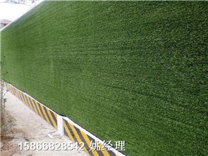 新闻:仿真草皮工地土坡@CAD详图天津宁河