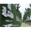 青岛地区绿色墙面-人工草皮工程专家