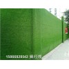 山东青岛市道路绿植墙-假草坪多少钱一米价格