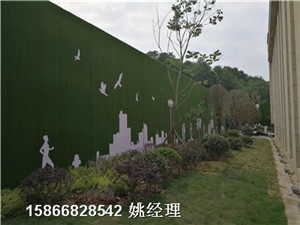 青岛地区地产草皮绿植墙面-草坪材质