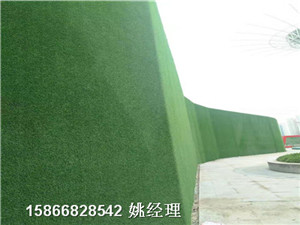 哈尔滨塑料草遮盖墙体草坪施工建设厂家