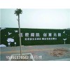 山东青岛市围墙绿色草皮-人工草皮专业定制