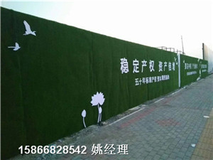 山东青岛市钢构绿草皮围墙-草坪销售厂家