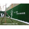青岛地区绿草活动背景墙供货源头-人工草皮求购求购信息