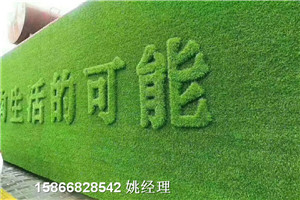 自贡市政绿草护坡人造草坪信誉好的厂家