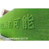 青岛地区市政墙体塑料草-人造草坪承接