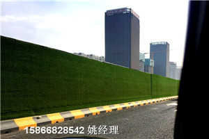 山东青岛市塑料草坪布铺装墙围-草坪对照表