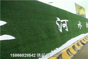 青岛地区市政绿植围挡-草坪图纸博翔远人造草坪公司