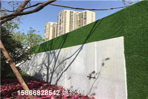 青岛地区地产草坪墙-人工草皮每平米价格