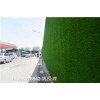 新闻:适合用绿植做围挡的品种@绿色施工天津红桥