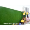 静海铺装塑料草皮墙是多少每平米