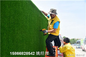 长春人造草绿色墙面行业新闻人工草皮标准做法