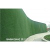 石嘴山塑料绿植墙人造草坪安装简单