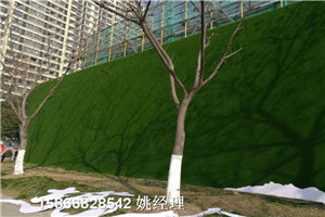 三明人工草皮垂直彩色草坪相关信息