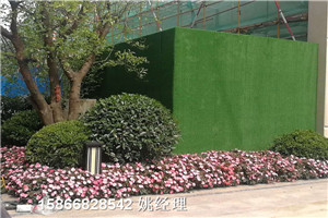 漳州人工草皮环保围墙塑料草皮零售博翔远人造草坪公司