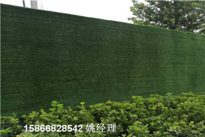 滨州人造草坪做围挡用塑料草坪精工品质