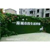 山东青岛市建筑绿植挡墙-人工草皮保质可靠