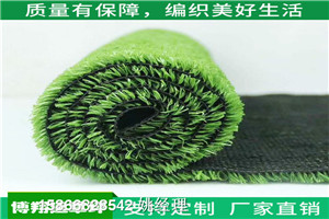 新闻：小草绿色地毯人工草皮分类特性-乐山