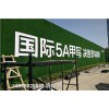 山东青岛市环保草坪布环保围墙-人工草皮销售厂家