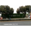 哈尔滨塑料草遮盖墙体假草坪施工建设厂家