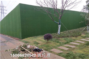 深圳建筑塑料草围挡墙人工草皮价格实惠