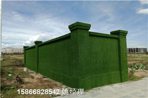 新闻：绿色墙面假草皮假草坪类型-泸州