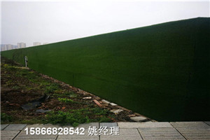 海南藏族自治州草皮铁皮瓦假草坪哪里有货源