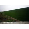 青岛地区地产草坪墙-人工草皮每平米价格