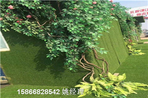 山东青岛市道路绿植墙-草坪多少钱一米价格