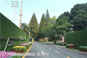 南开塑料草皮绿化墙体技术服务