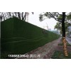 鹤壁整卷塑料草坪专业生产安装